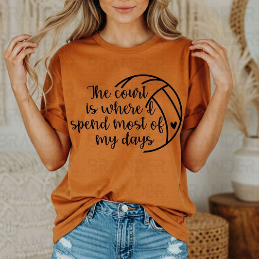 THE COURT IS WHERE I SPEND MOST OF MY DAYS - DTF TRANSFER