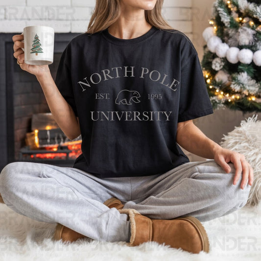 NORTH POLE UNIVERSITY - DTF TRANSFER