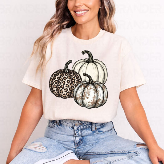NEUTRAL PUMPKINS - DTF TRANSFER